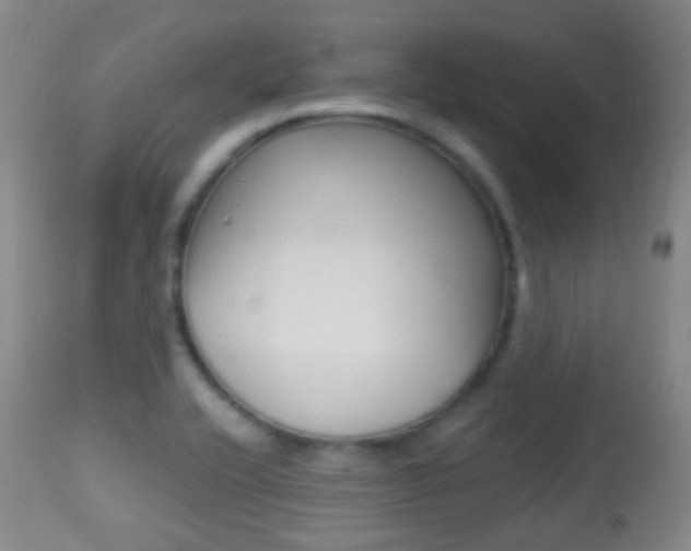 X0000113281416200909140930