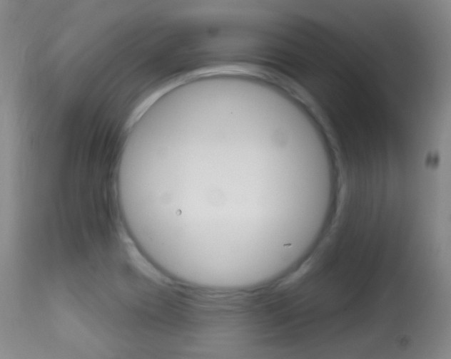 X0000113281417200909140930