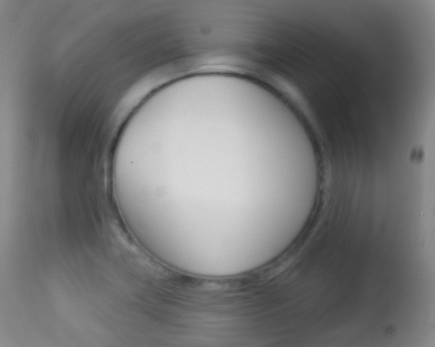 X0000113281419200909140931