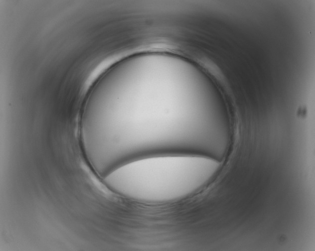 X0000113281420200909140931