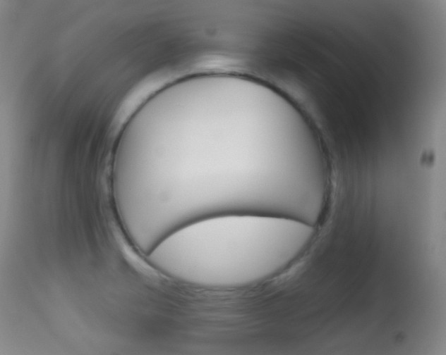 X0000113281421200909140931