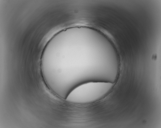 X0000113281423200909140931