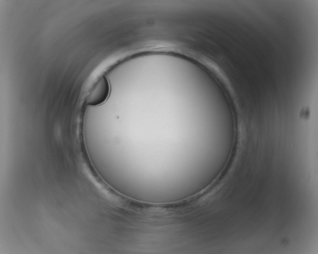 X0000113281424200909140931