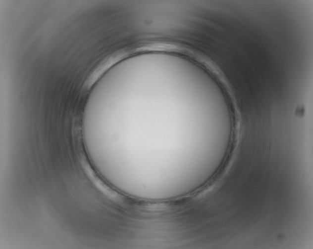 X0000113281425200909140931
