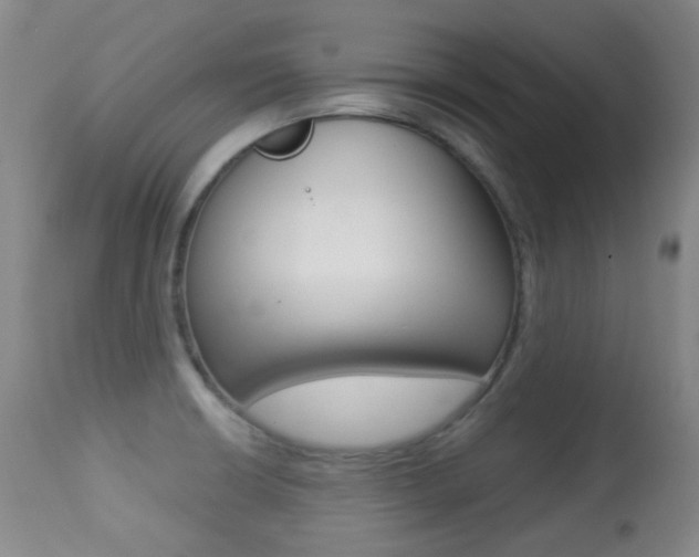 X0000113281426200909140931