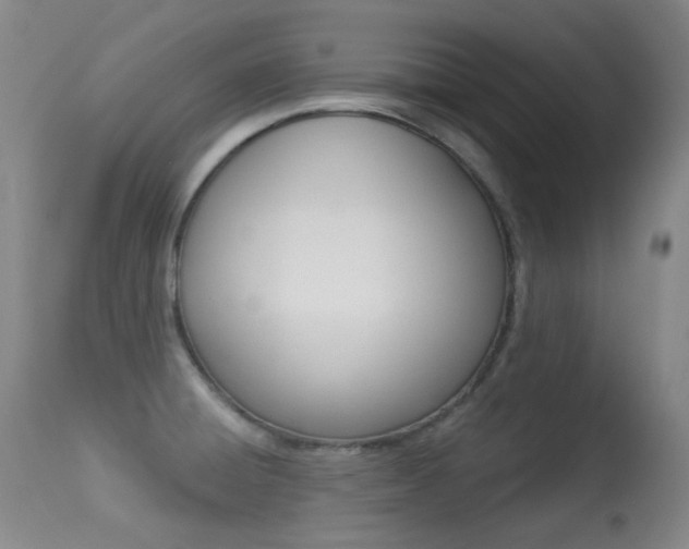 X0000113281428200909140931