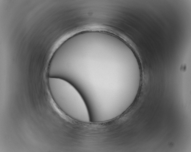 X0000113281429200909140931