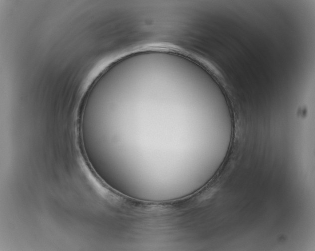 X0000113281430200909140931