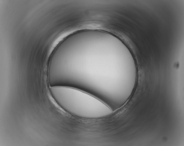 X0000113281432200909140931