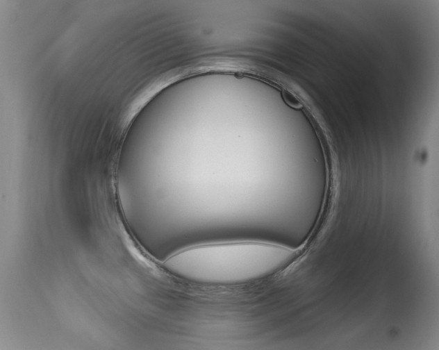 X0000113281433200909140931