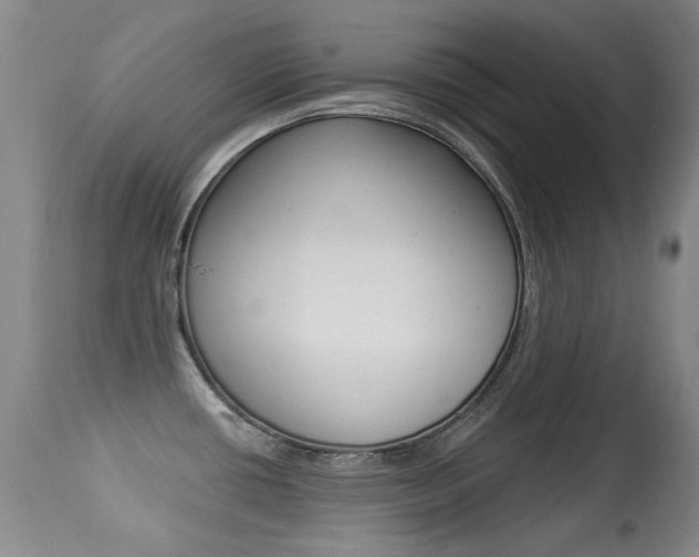 X0000113281434200909140931