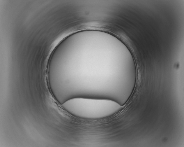 X0000113281435200909140931