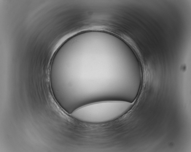 X0000113281436200909140931