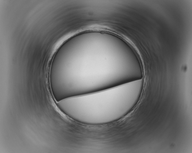 X0000113281437200909140931