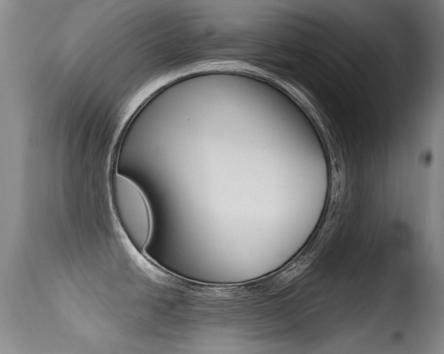 X0000113281438200909140931