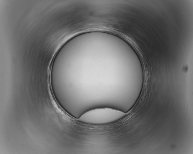 X0000113281439200909140931