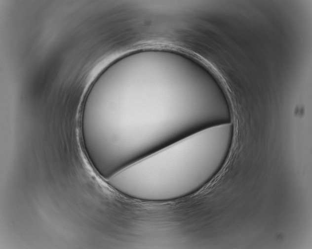 X0000113281440200909140931