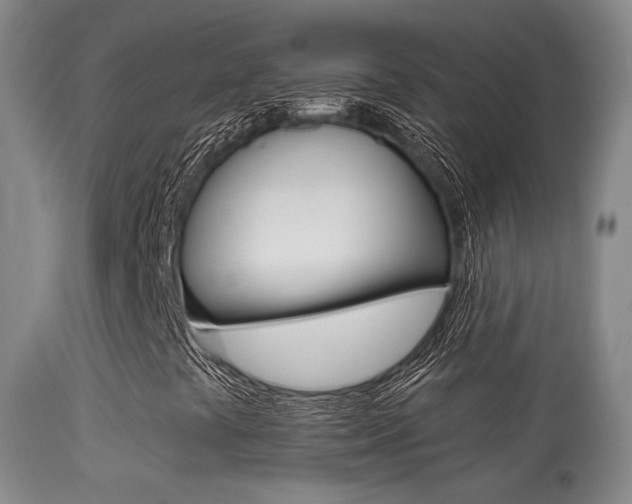 X0000113281441200909140930