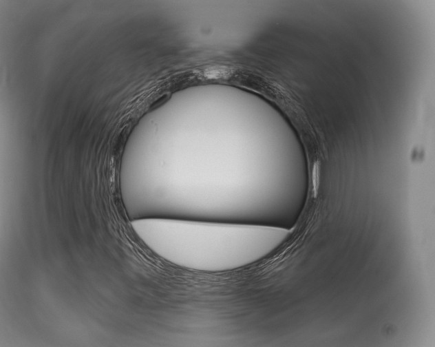 X0000113281443200909140930