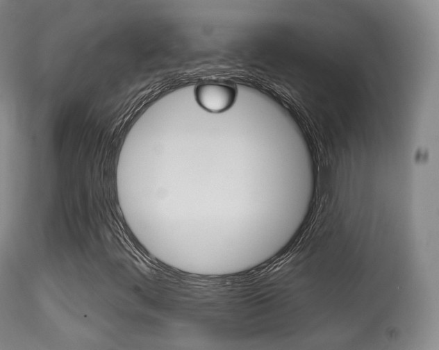 X0000113281444200909140930