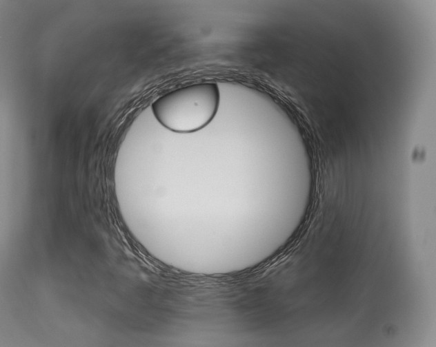 X0000113281445200909140930