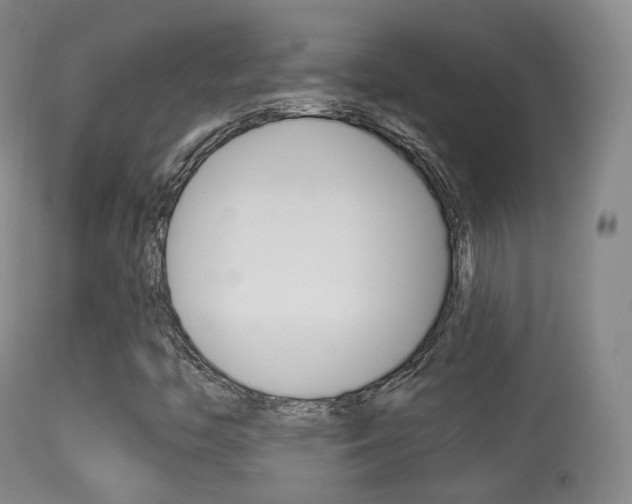 X0000113281446200909140930