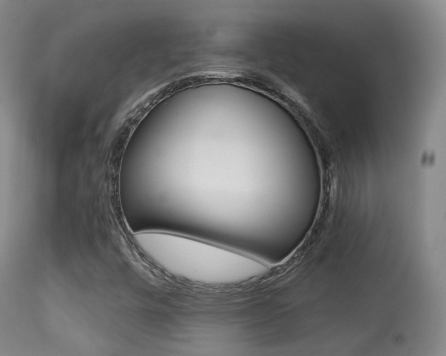 X0000113281448200909140930