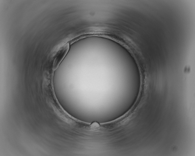 X0000113281449200909140930
