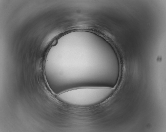 X0000113281450200909140930