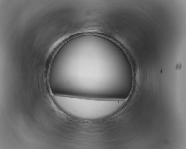 X0000113281452200909140930