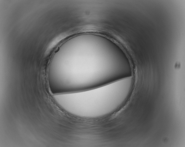 X0000113281453200909140930
