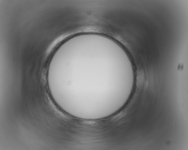 X0000113281454200909140930