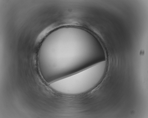 X0000113281455200909140930