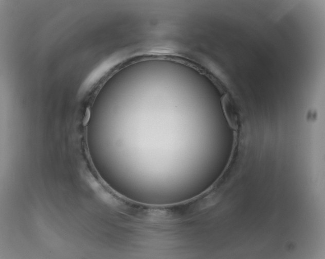 X0000113281456200909140930