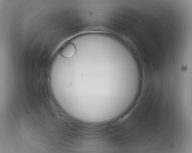 X0000113281457200909140930