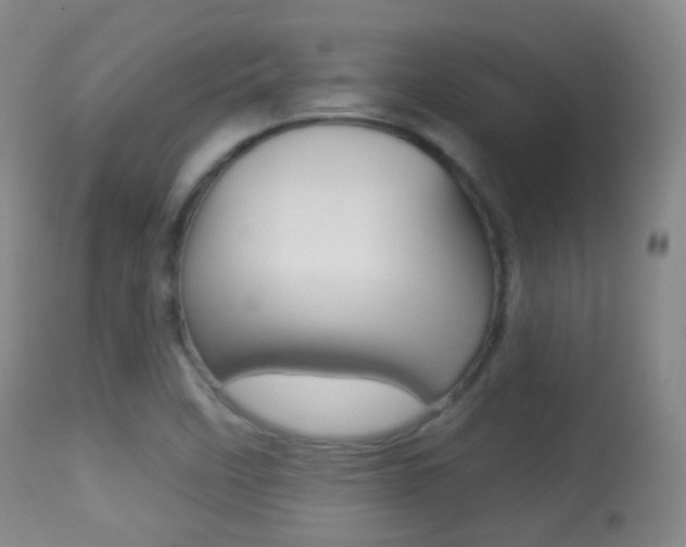 X0000113281458200909140930