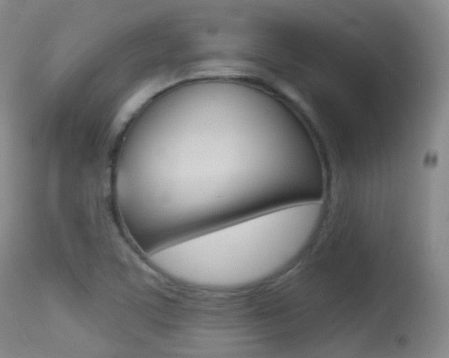 X0000113281459200909140930