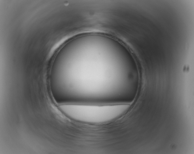 X0000113281460200909140930