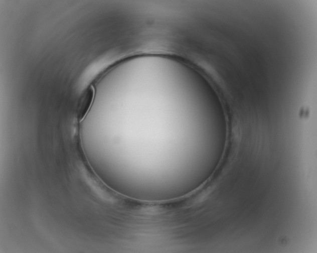 X0000113281461200909140930