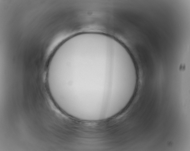 X0000113281462200909140930