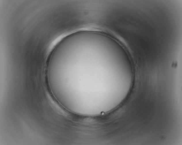 X0000113281463200909140929
