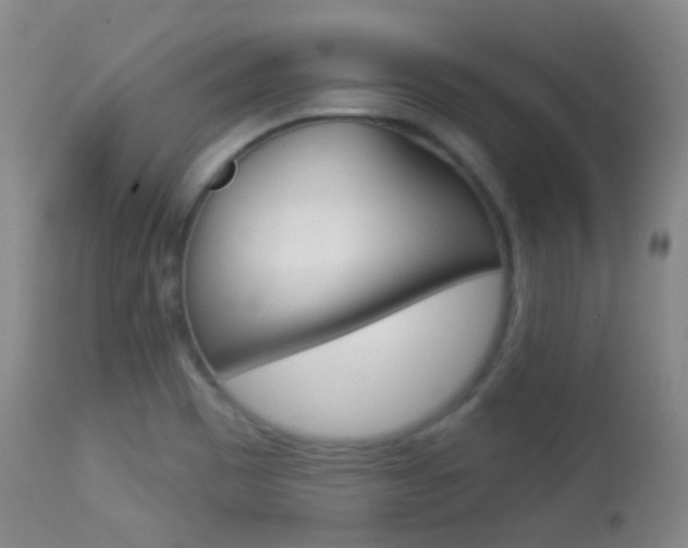 X0000113281465200909140929