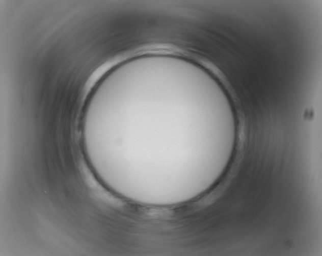 X0000113281466200909140929