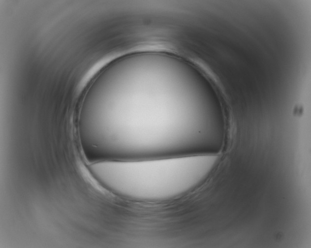X0000113281468200909140929