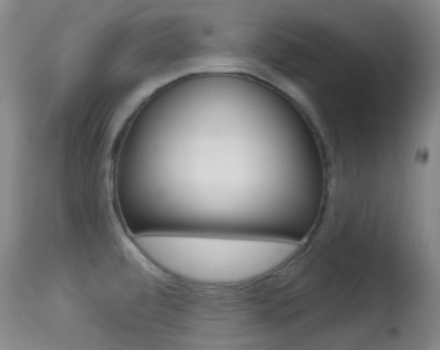 X0000113281472200909140929