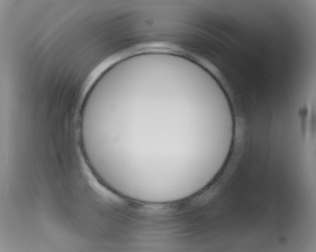 X0000113281474200909140929