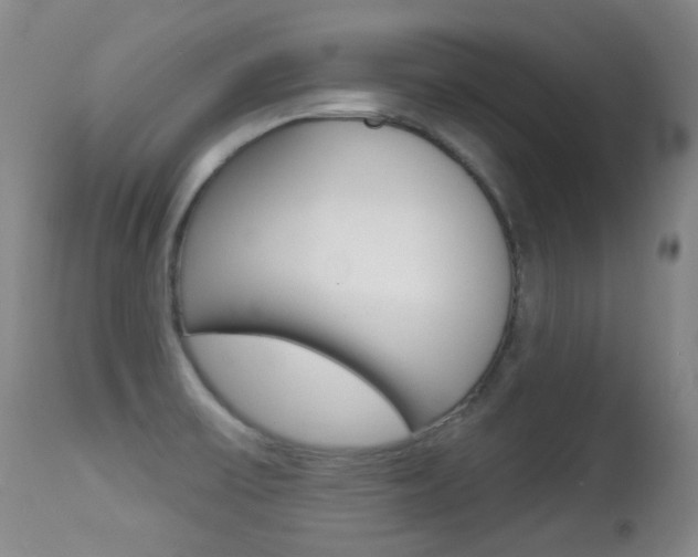 X0000113281475200909140929