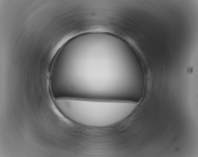 X0000113281476200909140929