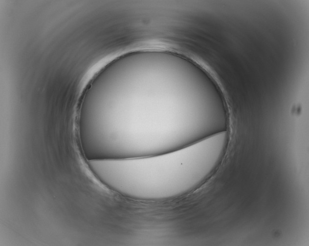 X0000113281477200909140929
