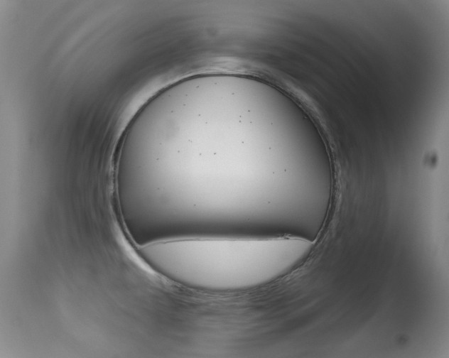 X0000113281479200909140929